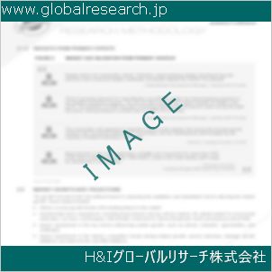 グローバルリサーチ調査資料のイメージ
